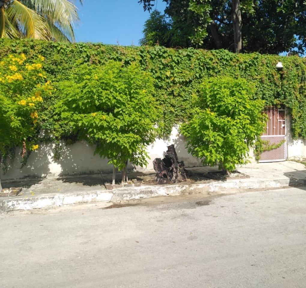 Bonita Casa A Dos Cuadras Del Mar Villa Playa del Carmen Exterior foto